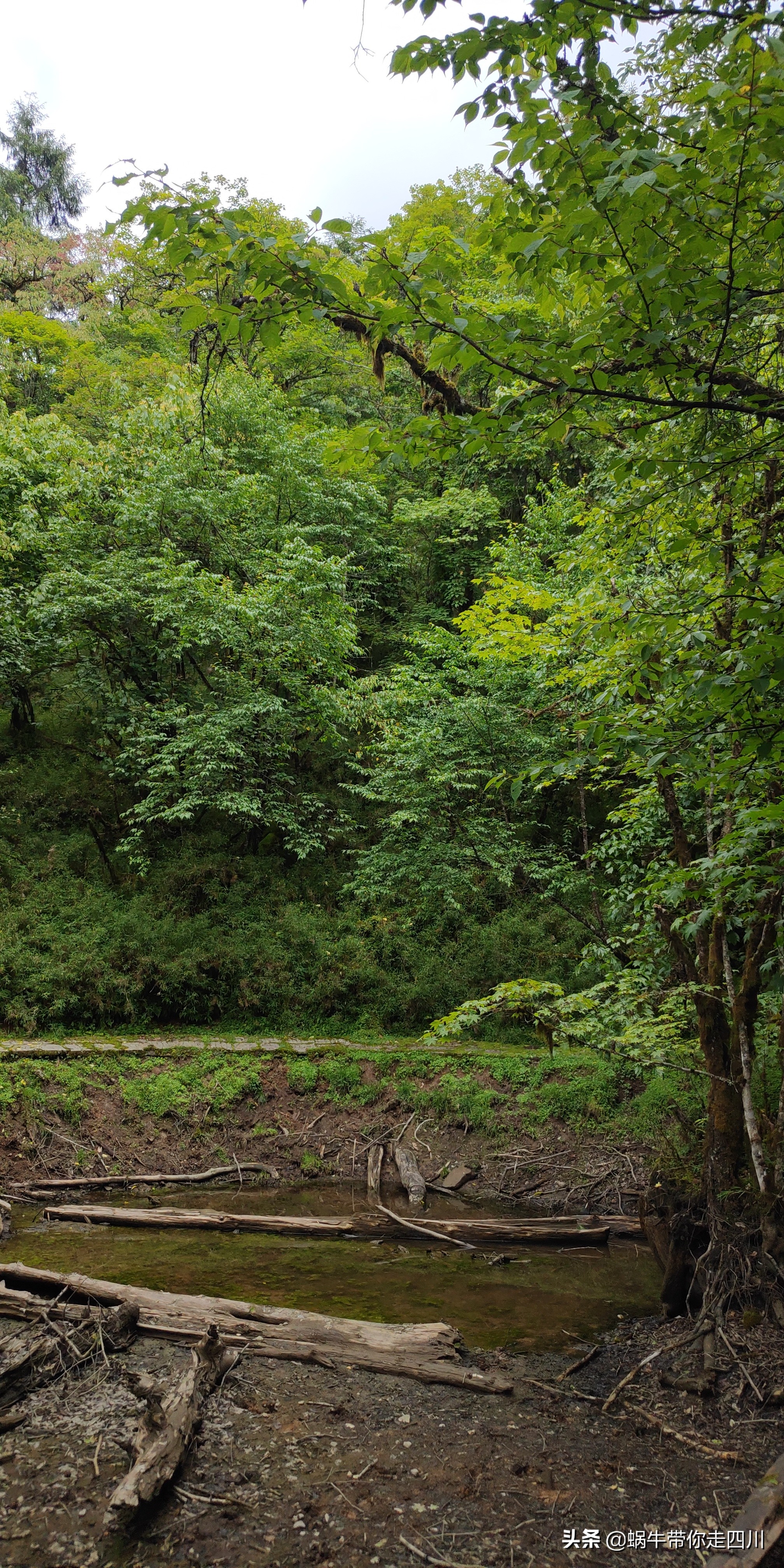 带小朋友出去看小动物,带小孩去海洋动物园