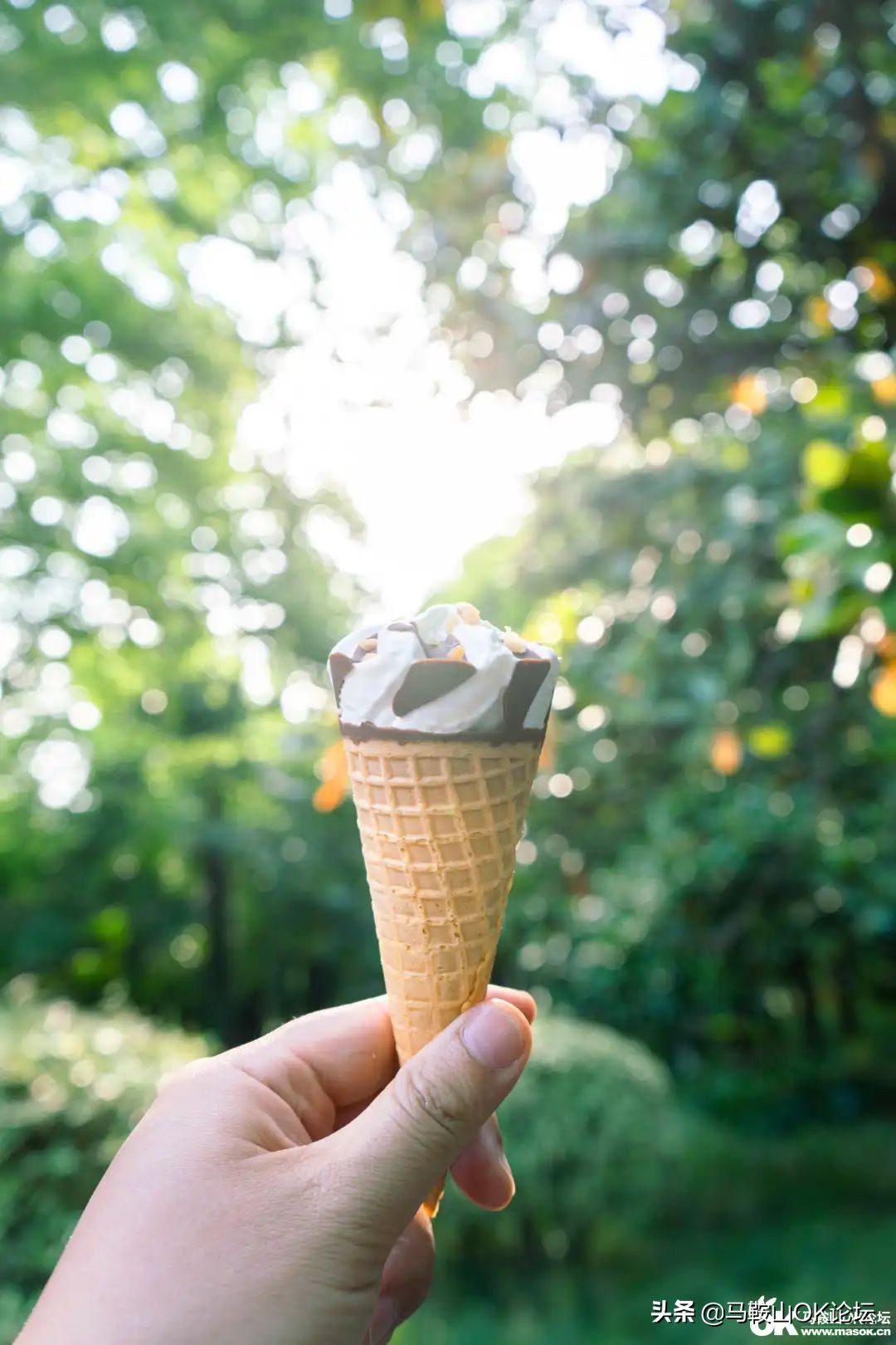 唰，就绿了！马鞍山夏天的n+1种样子