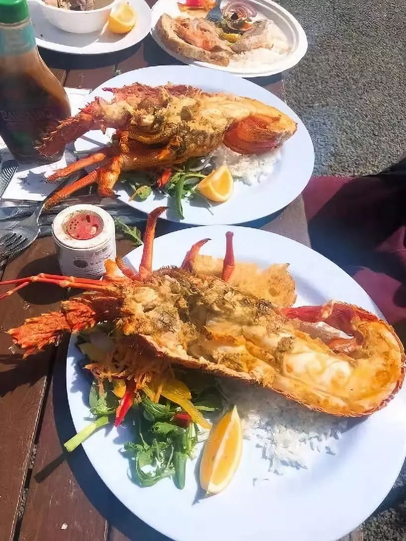 中国小伙去新西兰却横扫对手获得冠军，每份食材在手上都是艺术品