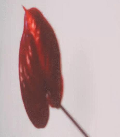 什么牌子的hm值得购买,还买啥美系车