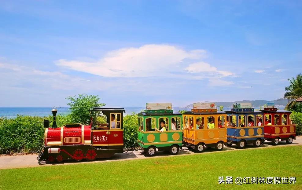 逃离北方的寒冷,逃离北方森林