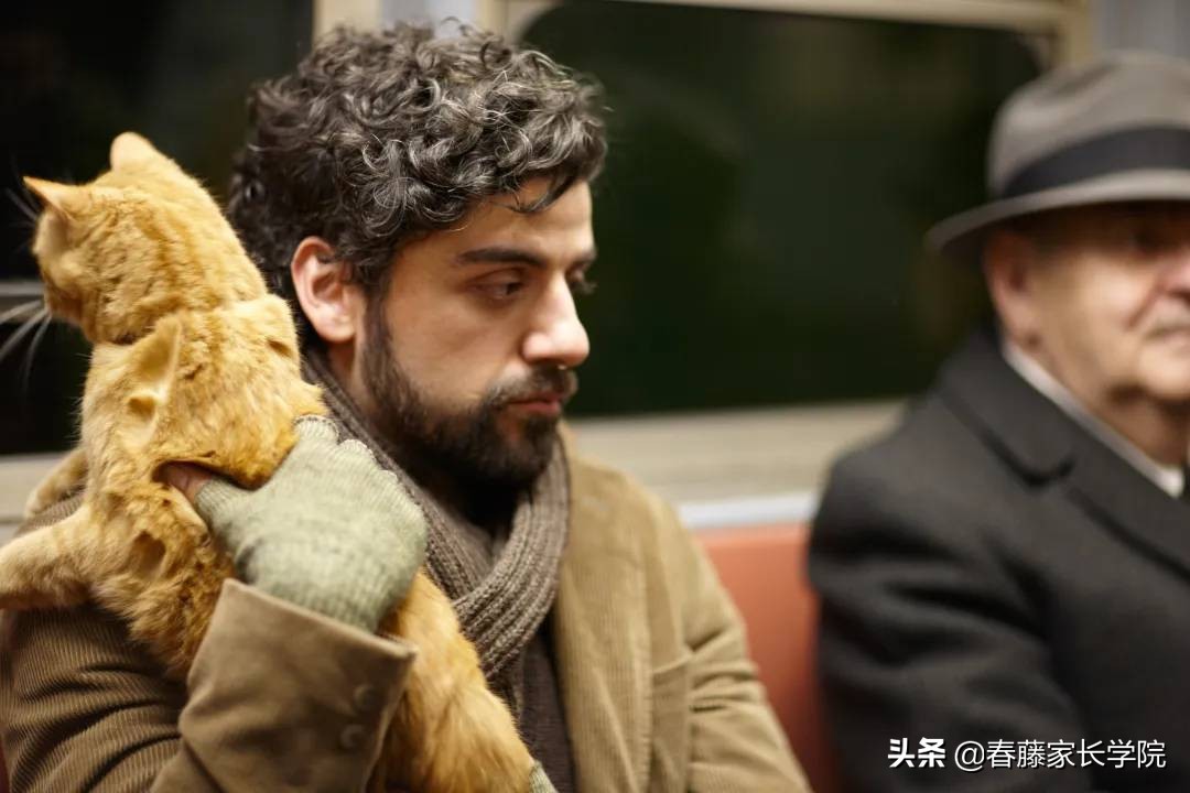 适合孩子看的音乐电影有哪些,最让人记忆深刻的8部电影