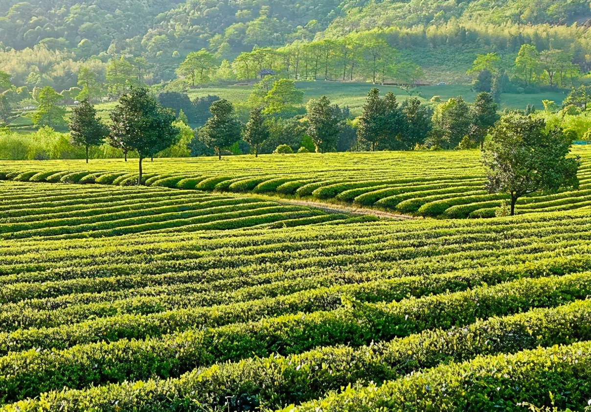 又一新晋网红打卡地,新晋绝美打卡地