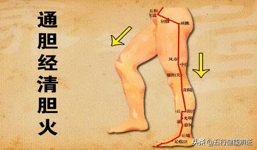 黄帝内经说肾与骨,黄帝内经说转脚有什么奇效