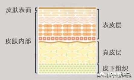 bbc珍珠面霜 (bbc沙棘面霜)