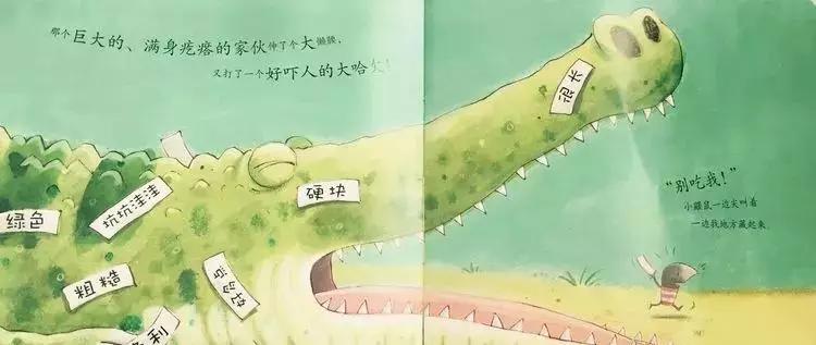 悦宝园主题课程推荐:鳄鱼|AlligatorsandCrocs