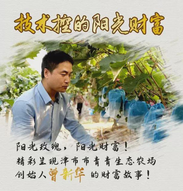 小伙种植葡萄年赚千万,80后小伙创业种葡萄