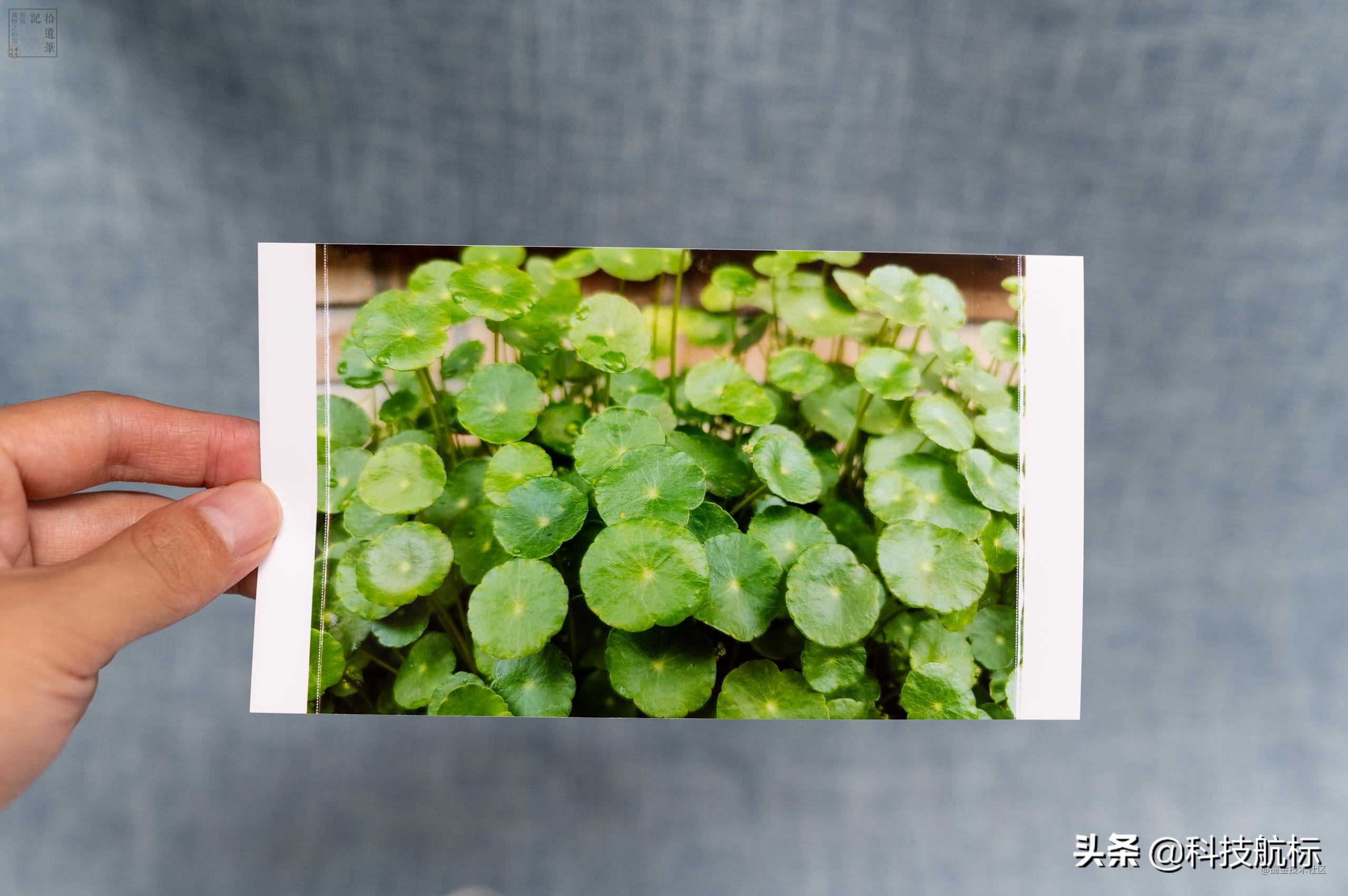 汉印打印机cp4000不用充电可以打吗,汉印照片打印机cp4000l怎么用