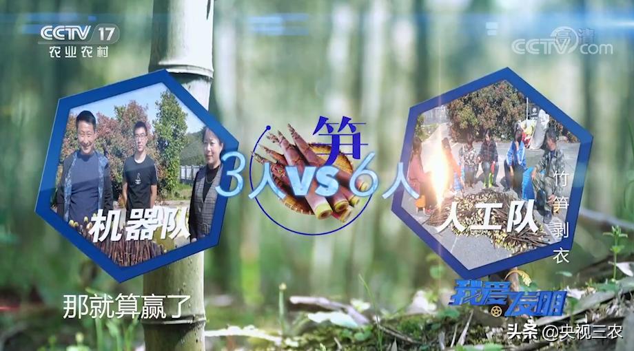 有了“王万能”发明的神器，竹笋剥皮轻松搞定