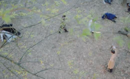 看了一集《花不弃》，一集的细思极恐：看剧果然不能太认真