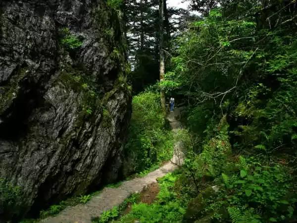 全国各地零食特产一览表,全国各地特产小吃一览表