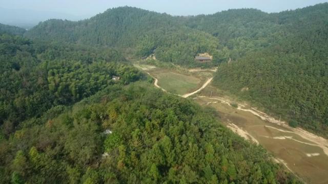 飘香千年的茶油,湖南茶油有哪些好处