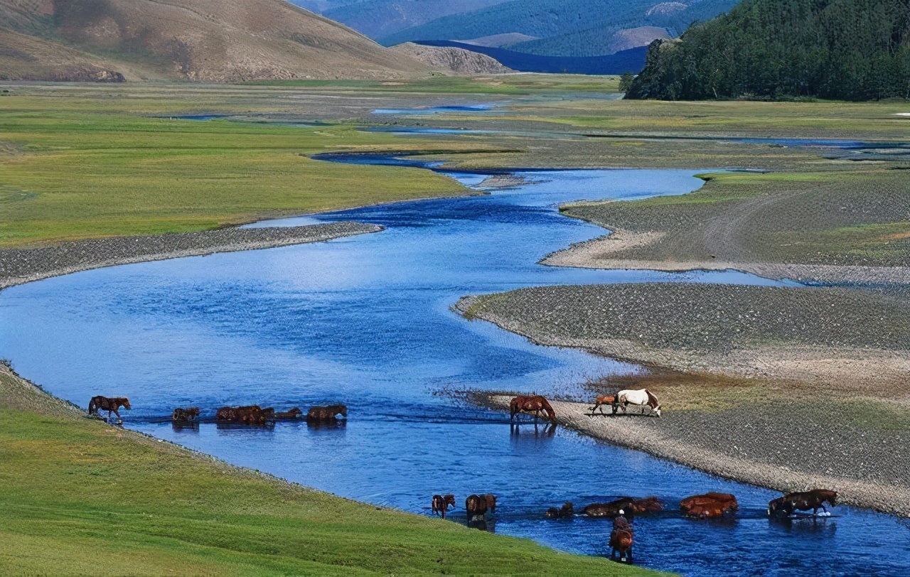 宁波海关查获火蝾螈,火蝾螈被海关查怎么判刑