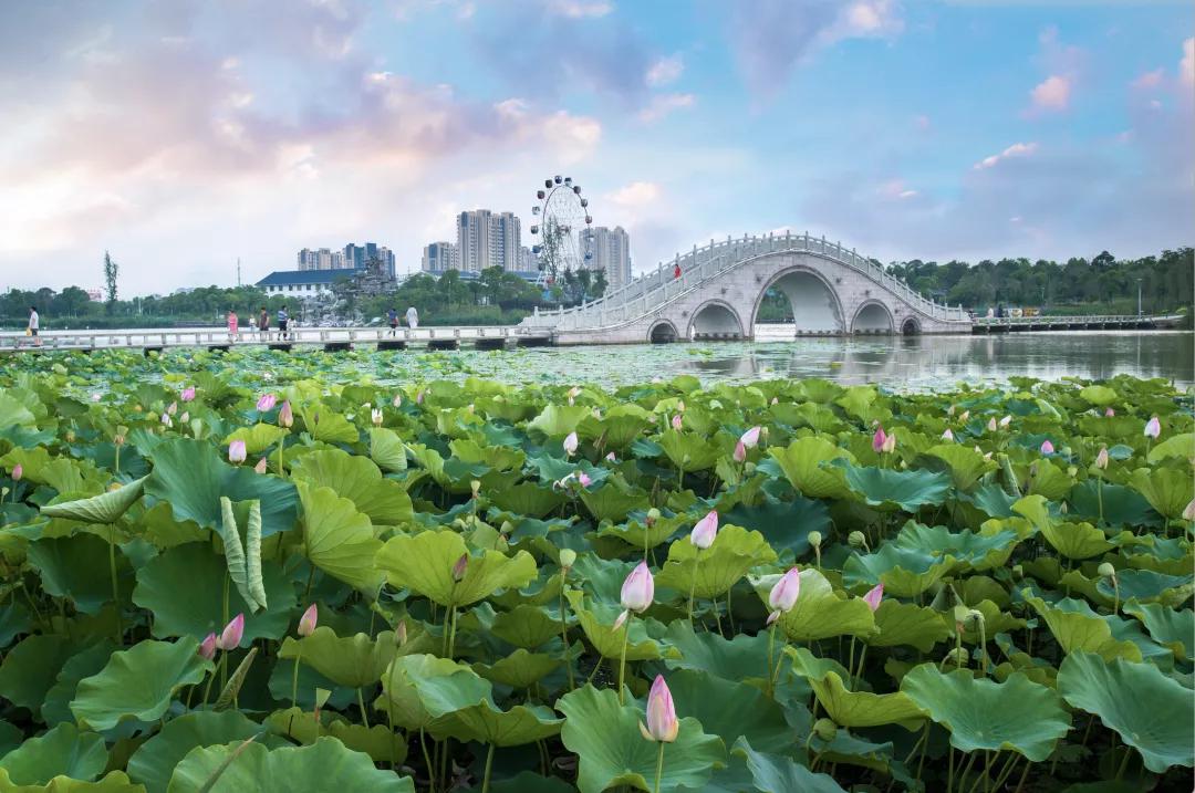 新城云樾春秋户型,新城云樾春秋容积率