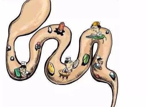 一天不排便=吸10根烟？香蕉治疗便秘？7个排便真相要知道