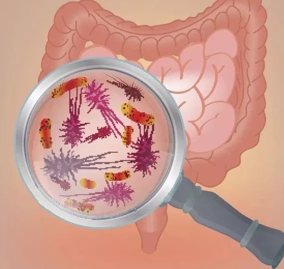 清毒排毒最快的方法,人体毒素排不出去会怎样