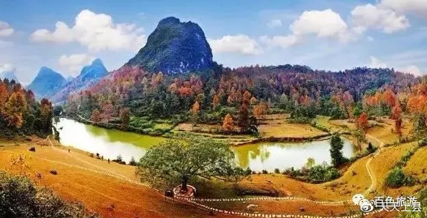 广西枫叶林观赏季节,广西赏枫叶的地方