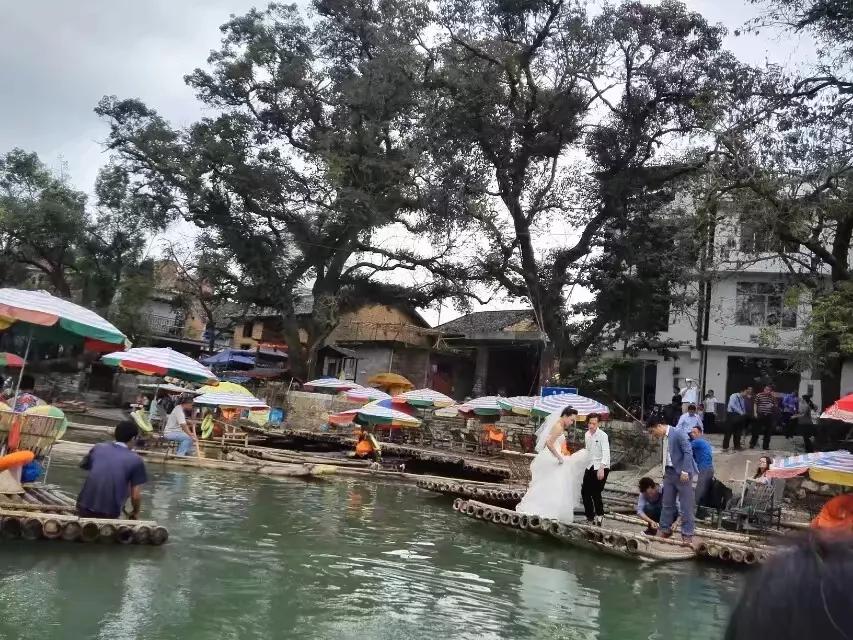 唯有飞旋的木马才能让我追到你