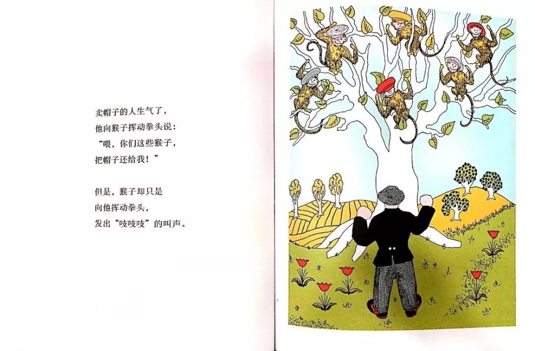 小马电台微博,小马电台主播