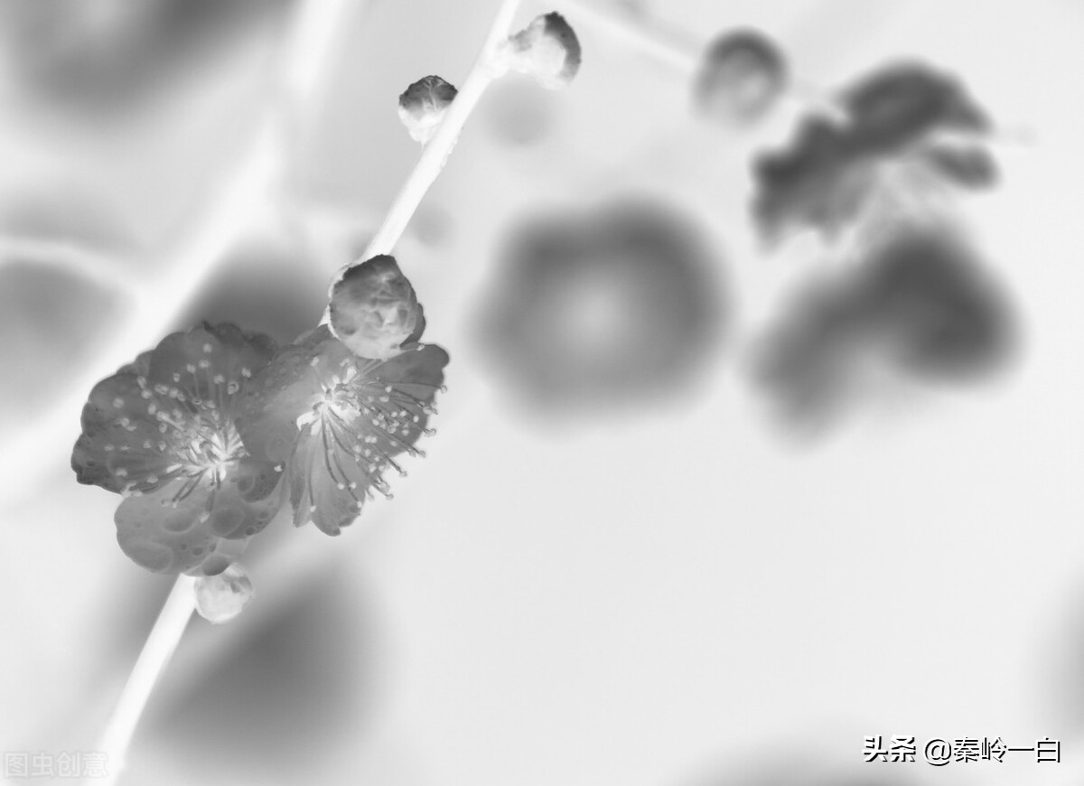 王冕是元朝末年的著名诗人与画家,元朝著名画家王冕的书画作品欣赏