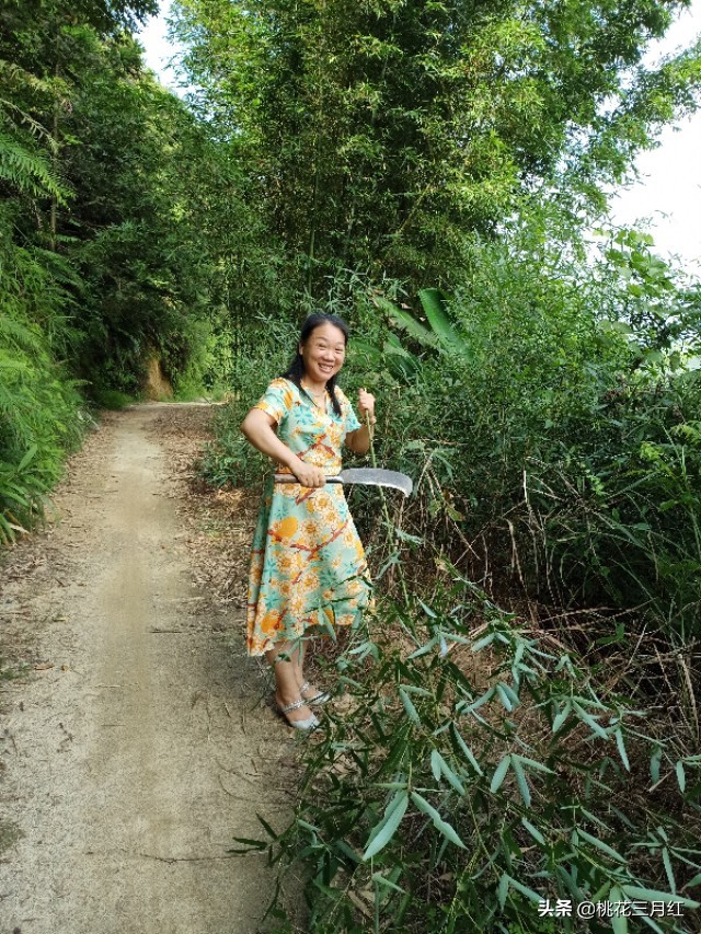 刘茂兰:含笑的影子
