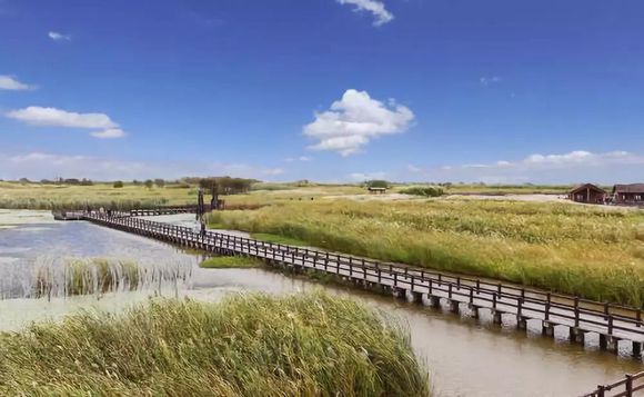 杭州湾可以买吗,杭州湾新区碧桂园海上风华价格