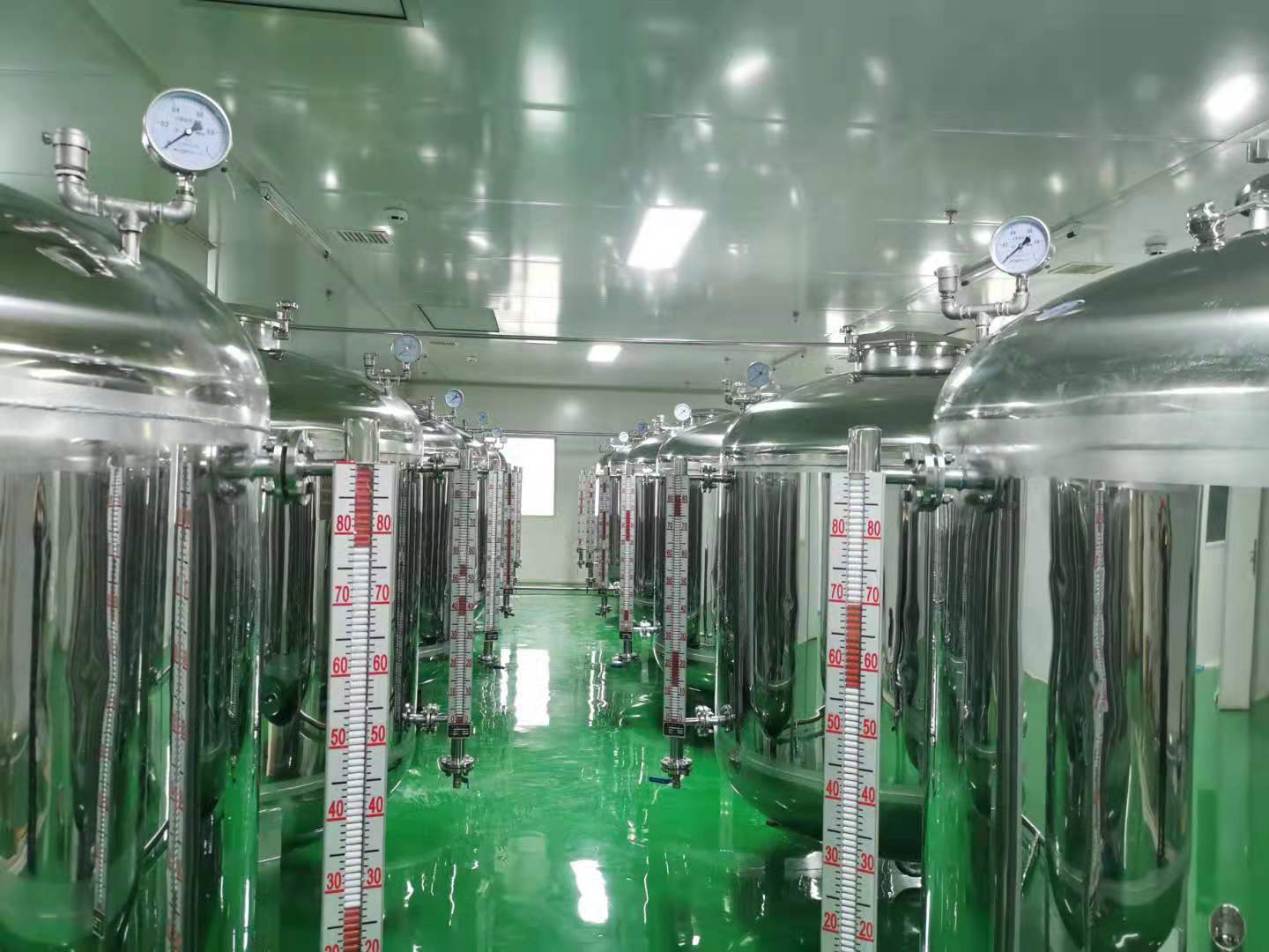 植物乳杆菌P-8,什么里边含有植物乳杆菌