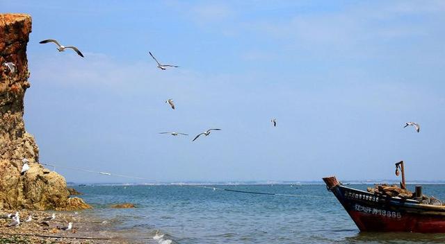 中国城市辽宁,辽宁省大连城市介绍
