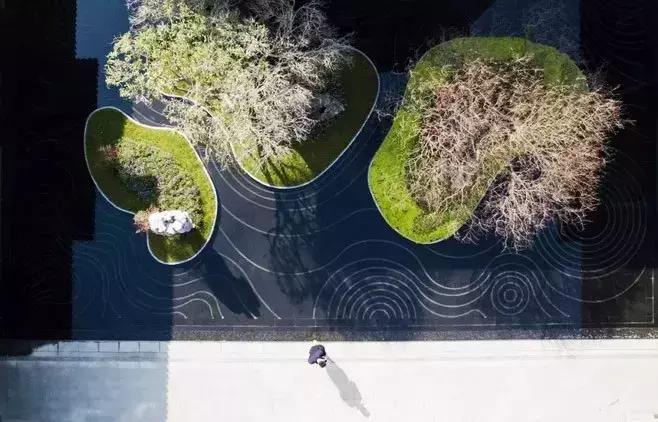 涟漪是哪篇课文,涟漪像什么