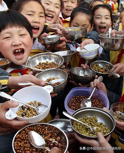 北方胶东地区二月二吃什么,北方和南方2月份天气对比