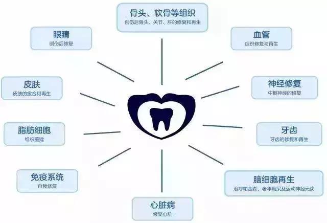 宝宝长乳牙注意事项及禁忌,一定要注意孩子的乳牙很重要