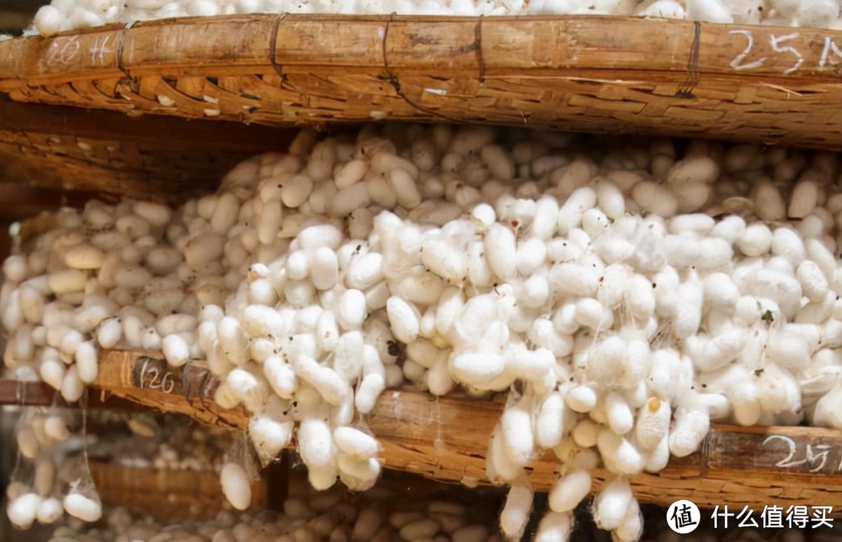 别就知道抱着自己取暖,这5款“贴心小棉被”睡了的都说好