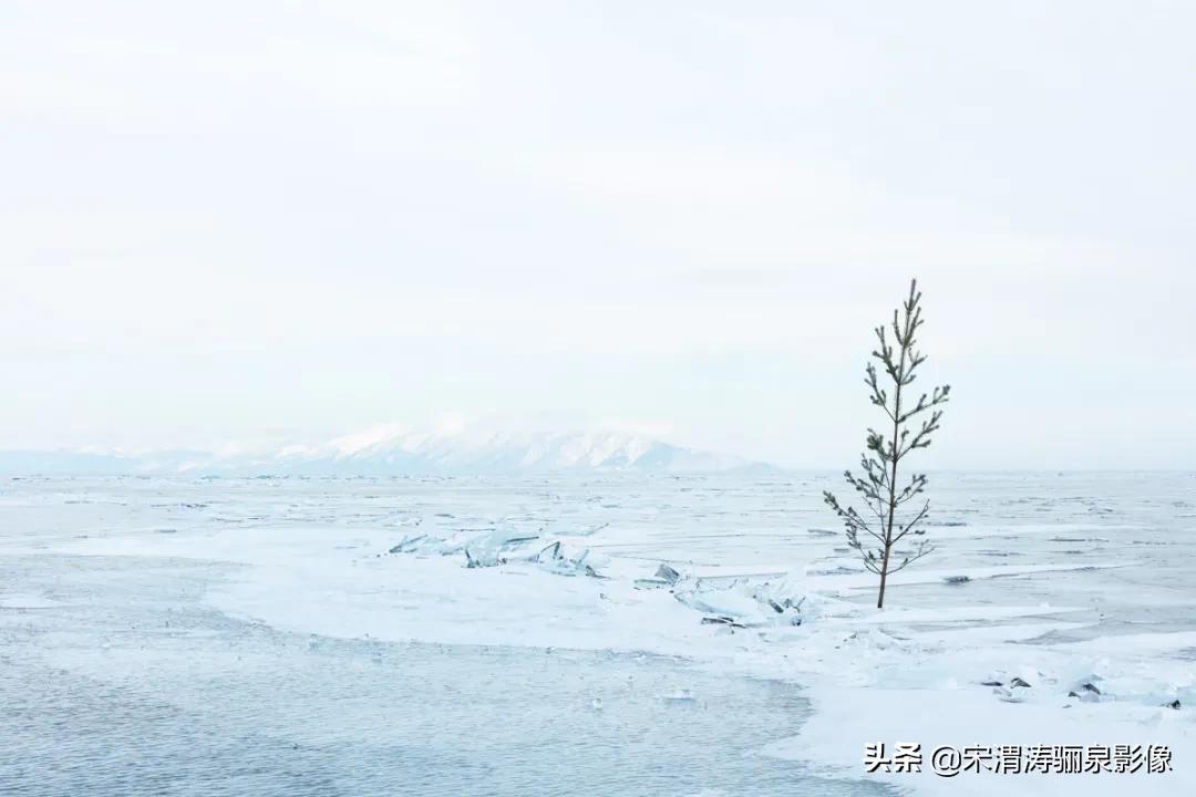 ipa国际动态摄影大赛获奖作品,2020年ipa摄影奖获奖作品