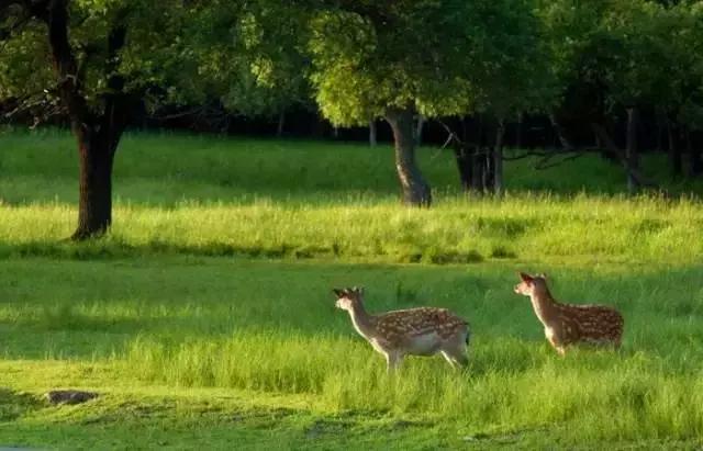 哈尔滨周边有10多个绝美胜地,哈尔滨自驾三亚边走边玩最佳路线