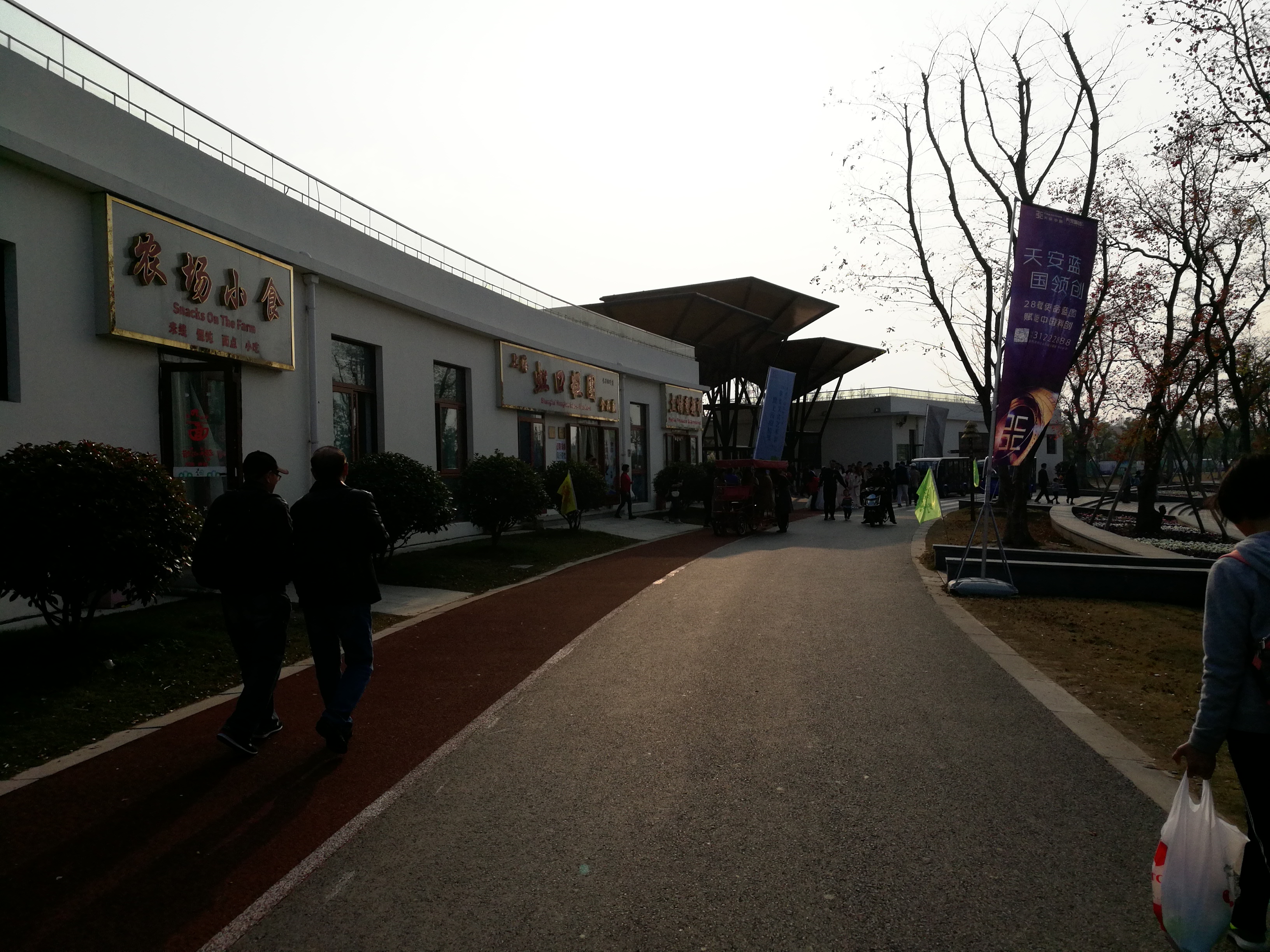 上海长兴岛郊野公园可以看见海吗,长兴岛郊野公园离上海站有几公里