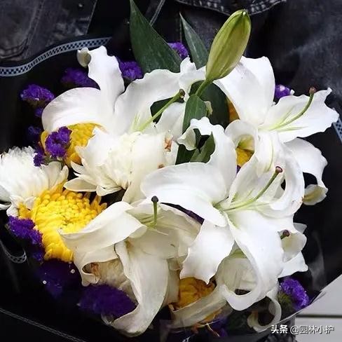 清明寄相思短句,朗诵清明寄相思