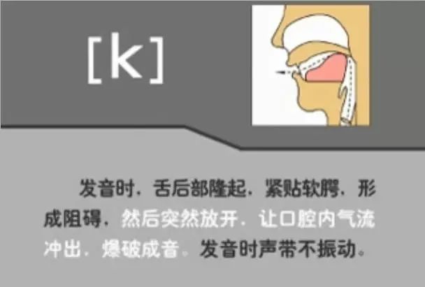 英语音标发音表48个音标正确读法,英语干货48个音标快速记忆法下