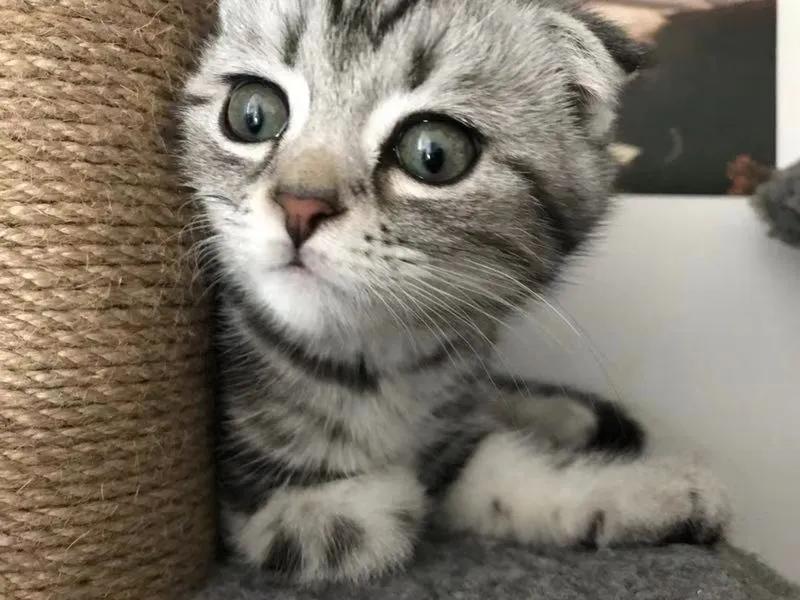 18万多人被骗、涉案金额高达1.31亿元的*局骗**：绣鞋垫、串手珠的手工兼职背后...【网警转发】