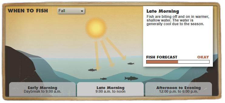 发钓鱼视频的最佳时间,什么时间钓鱼是最佳时间