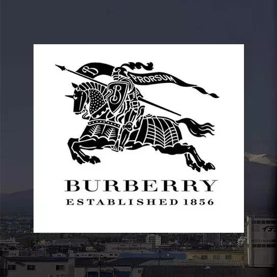 大牌包包干货知识,值得入手的大牌包包入门