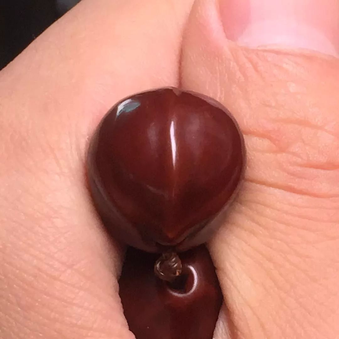 什么品种的核桃玉化包浆更快,文玩核桃盘多久才会玉化