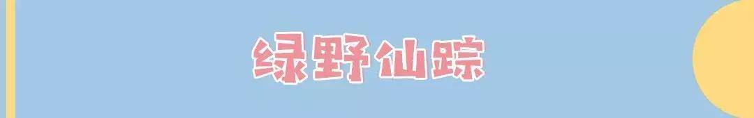 软萌暴击!邯郸这家高颜值猫咖上线,“吸猫”终于提上日程!