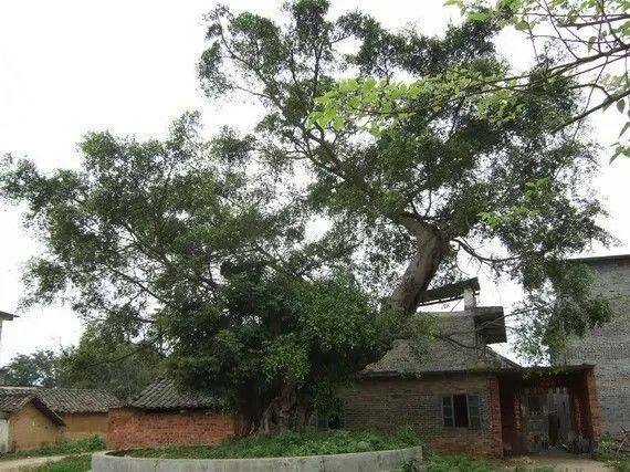 有关邕江的故事,南宁邕江的故事