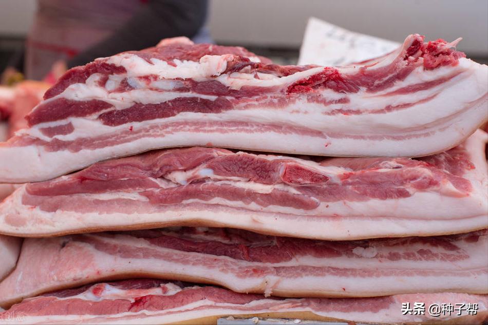 种菊苣牧草，养殖一头猪能赚多少？猪价连续下跌34%，该如何应对