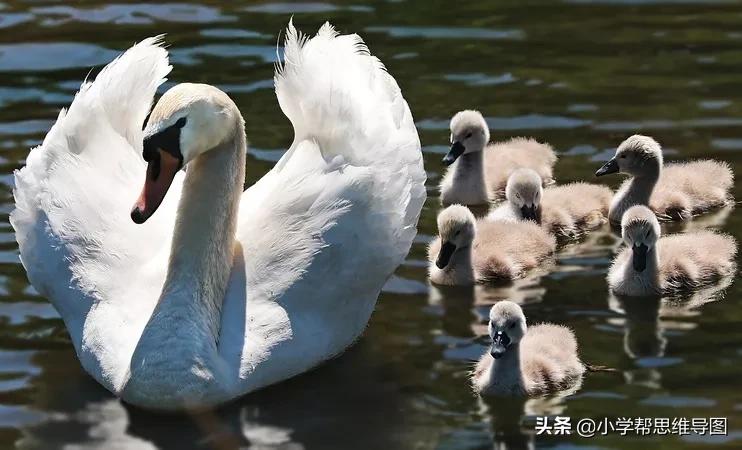 垃圾分类倡议书优秀作文6篇,垃圾分类优秀作文400字小学