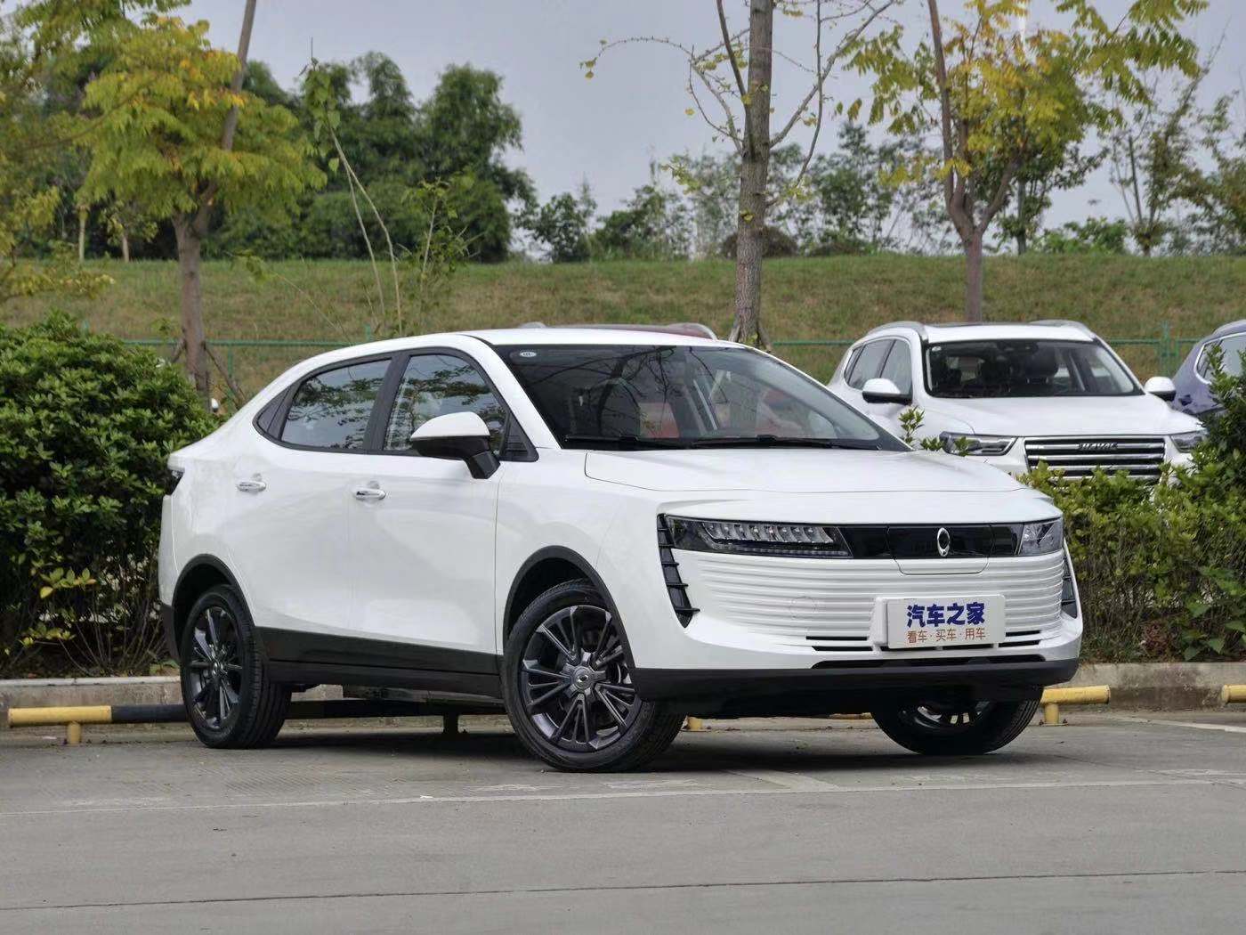 薛定谔的猫实测,欧拉白猫小野猫试驾