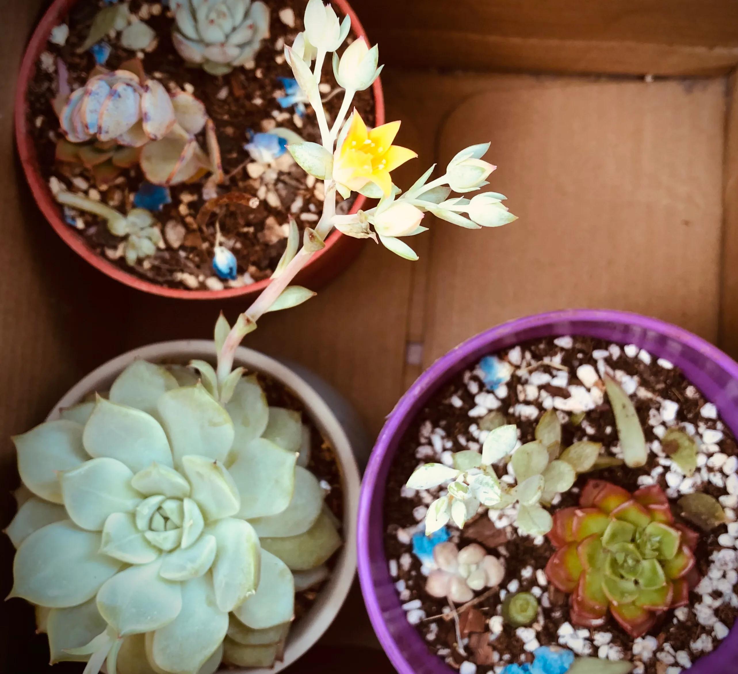 信念系统是潜意识吗,重塑潜意识信念系统