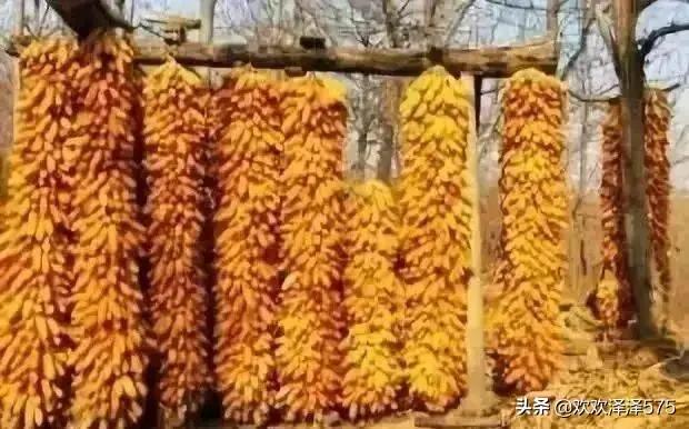 几毛钱撬动了一个大市场