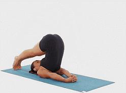 子宫是人体发育的开始吗,子宫是女人的根基吗