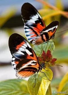 今天3月10，我的妈呀！谁编的，太好笑了，给群里乐一乐